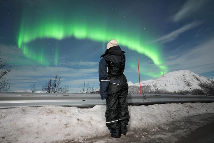 From Tromsø: Northern Lights Tour in Minibus with Photos - The waiting part: hot drinks, cookies, and cold-air patience