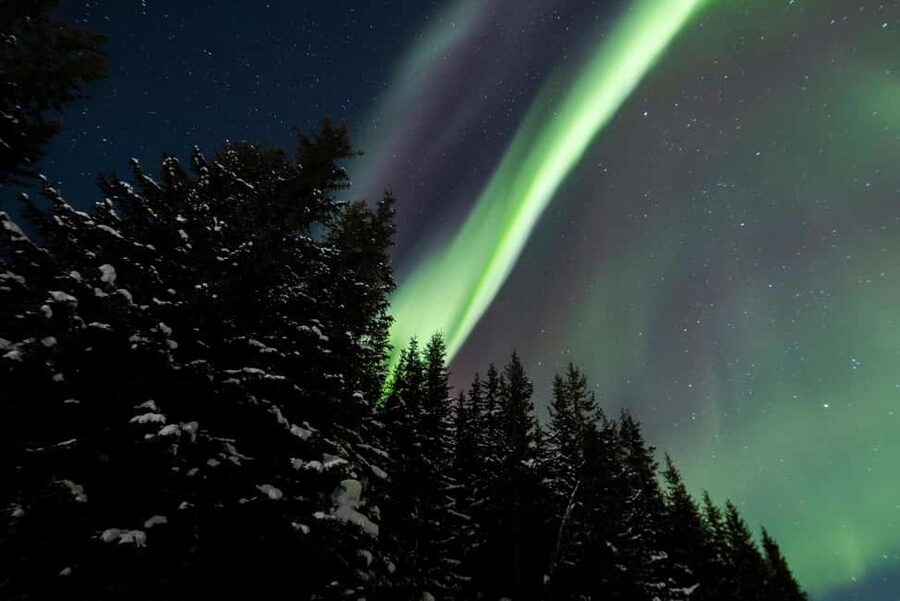 From Tromsø: Northern Lights Visit at Camp Tamok - Dinner in a Sámi lavvu: warm food, warm hands, and a calm ending