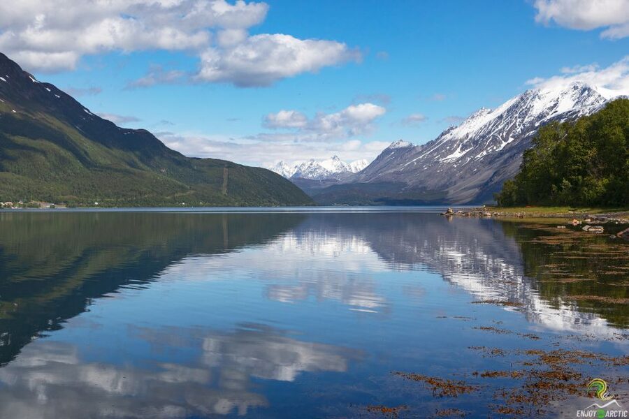 From Tromso: Norwegian Fjords Half-Day Tour - How a Warm Minibus Makes the Arctic Fjords Feasible in 5 Hours