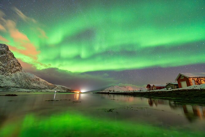From Tromsø: Official Northern lights Safari - Price and value at about $101 per person