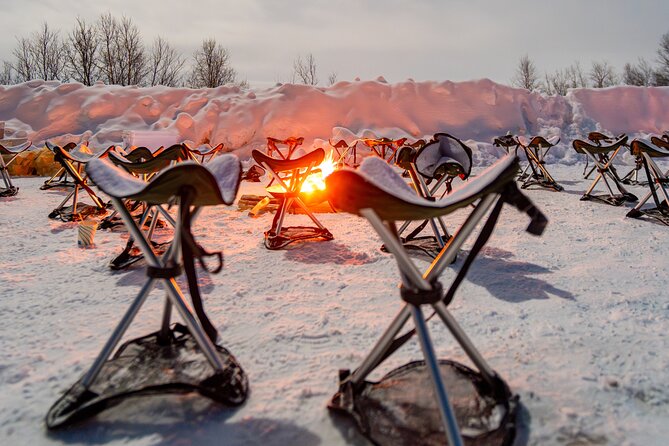 From Tromsø: Official Northern lights Safari - English-speaking guides and the tone of the experience
