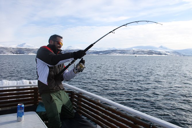 From Tromso: Polar Fishing Adventure - Stop-by-stop: Hella, Kvaløya and Tønsvik fishing breaks