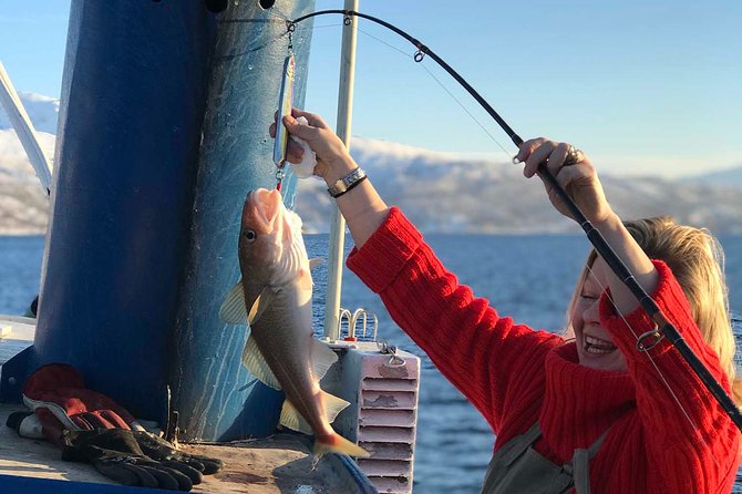 From Tromsø: Polar Fishing Adventure - Value and pricing: why $139.87 can make sense here
