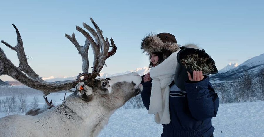 From Tromsø: Reindeer Feeding and Sami Experience with Lunch - First Stop: Tromsø Lapland’s Radisson Blue Meeting Point and the Drive Out