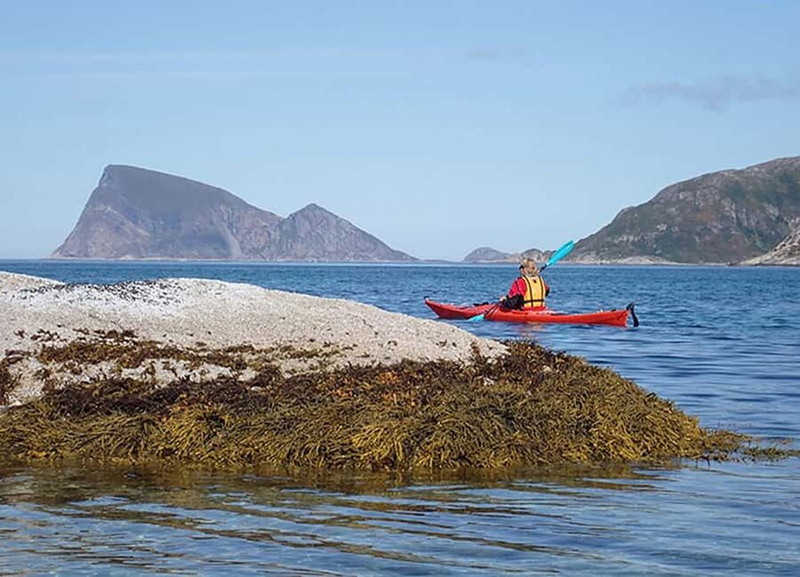 From Tromsø: Sea Kayaking Tour at Sommarøy - Weather, Wind, and Why Flexibility Is Part of the Deal