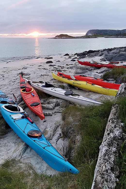 From Tromsø: Sea Kayaking Tour at Sommarøy - Wildlife Spotting From the Sea: Sea Eagles and Local Nature