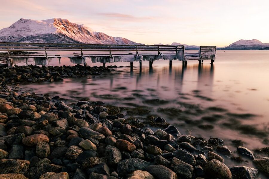From Tromsø: Senja Discovery Arctic Day Trip with Lunch - Senja time: photo stops, guided walks, and wildlife scanning