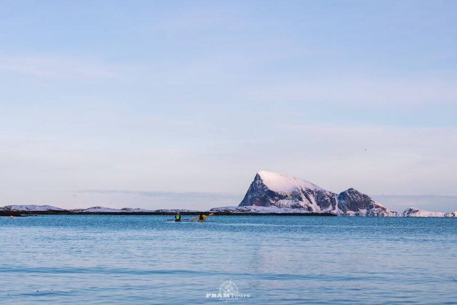 From Tromsø: Senja Discovery Arctic Day Trip with Lunch - Wildlife you might see, and how to spot it smart