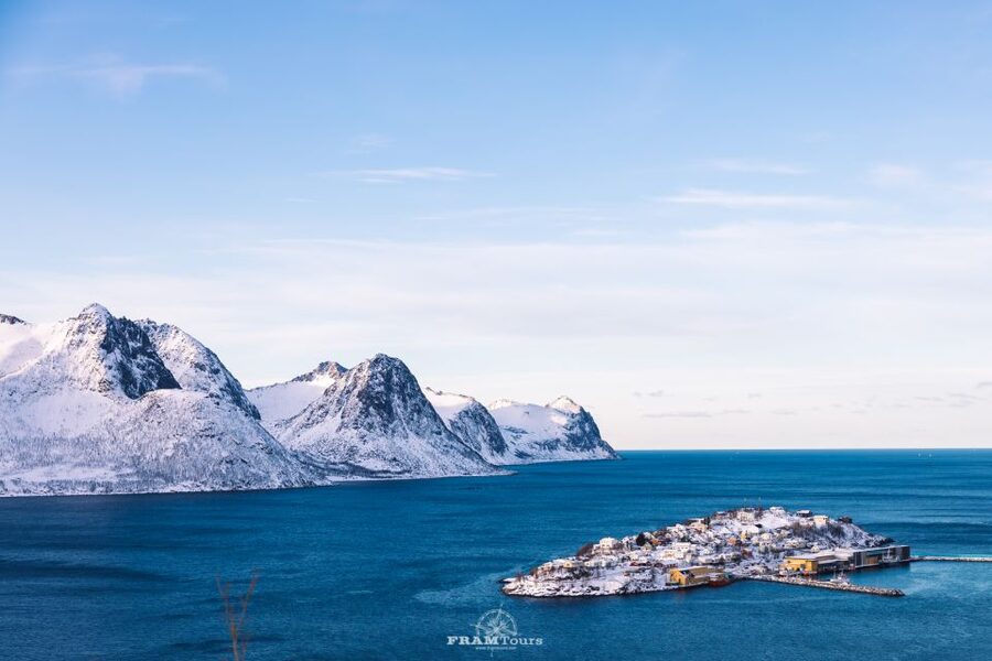 From Tromsø: Senja Discovery Arctic Day Trip with Lunch - The Arctic picnic lunch: vegetarian and vegan, served thoughtfully