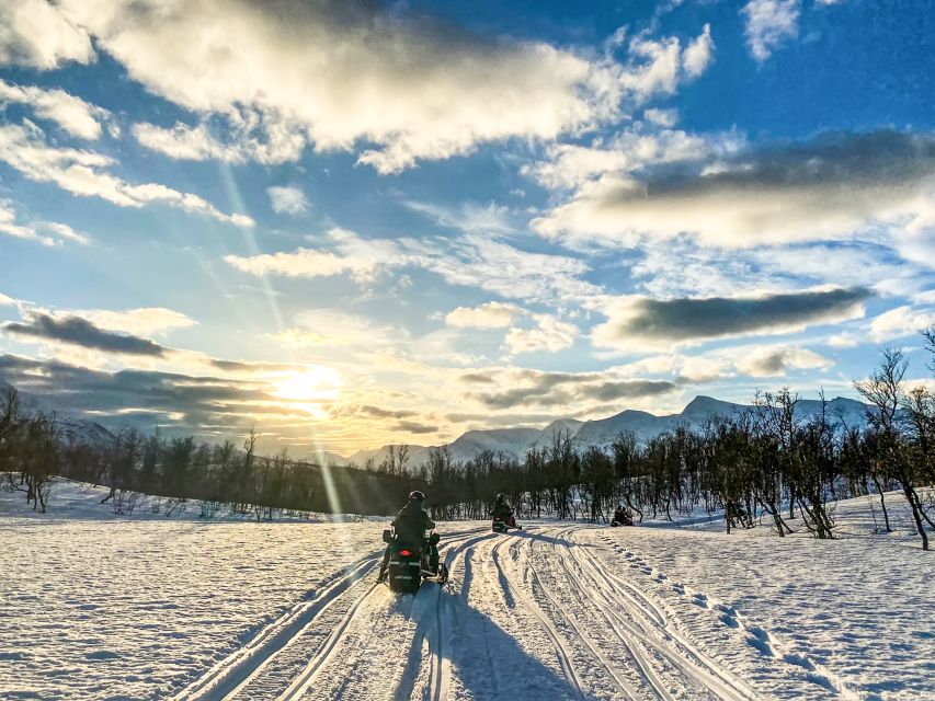 From Tromsø: Snowmobile Safari in the Lyngen Alps - Lunch by the campfire: the soup moment that people remember