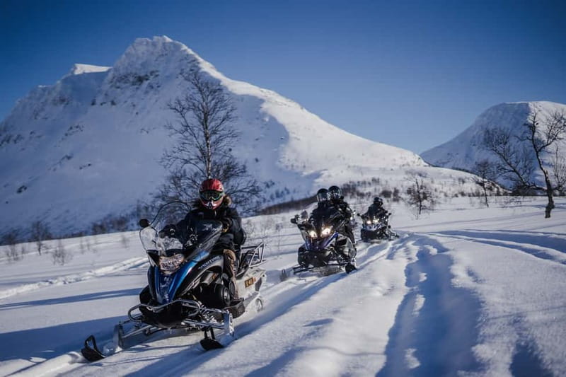 From Tromsø: Snowmobiling at Camp Tamok & Snow Park Visit - Practical tips: meeting point, timing, and dressing for -30°C days