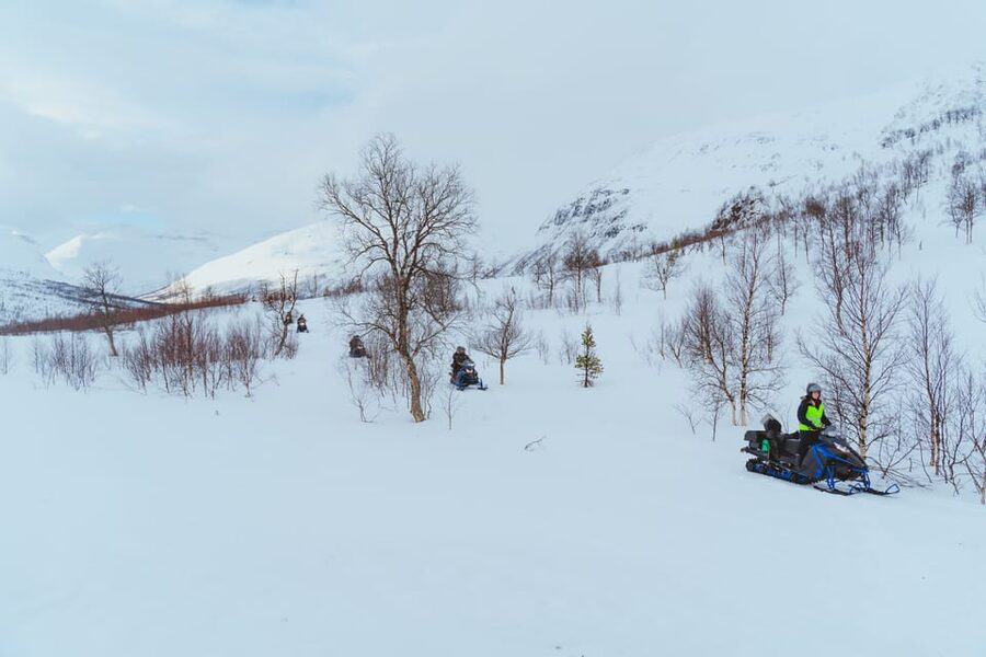 From Tromsø: Snowmobiling Tour at Camp Tamok - Who this tour is best for, and who should skip it