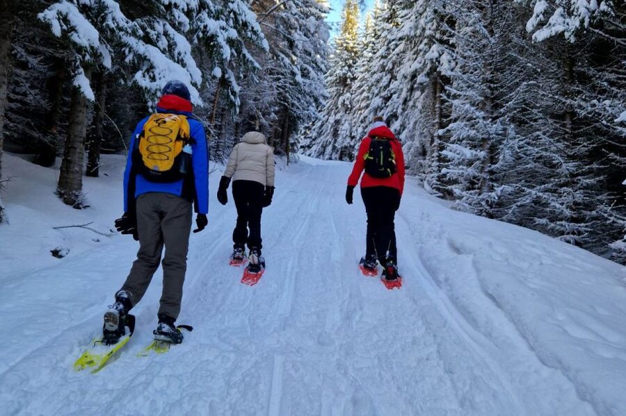 From Tromsø: Snowshoe Hike in the Arctic - Key points worth knowing before you go