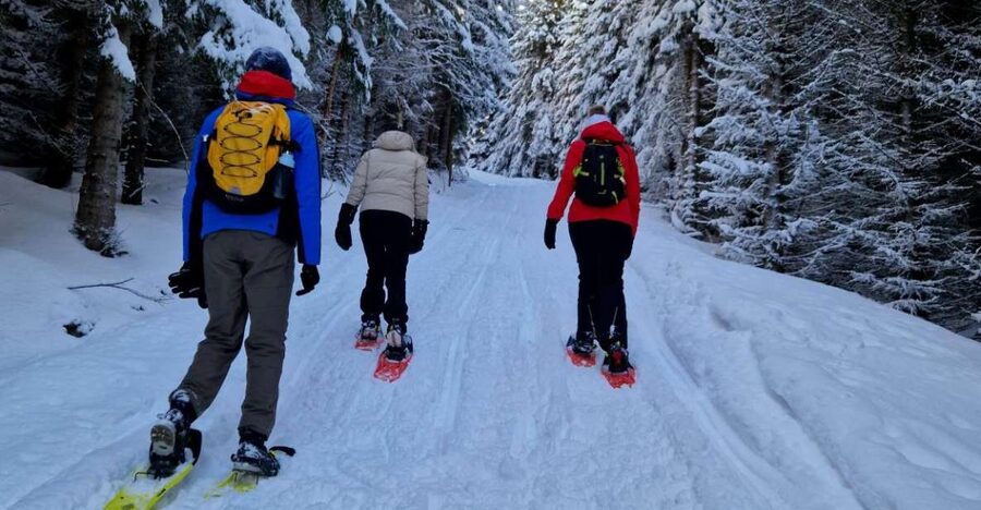 From Tromsø: Snowshoe Hike in the Arctic - On the trail: snowshoe walking, stops, and the pace that fits