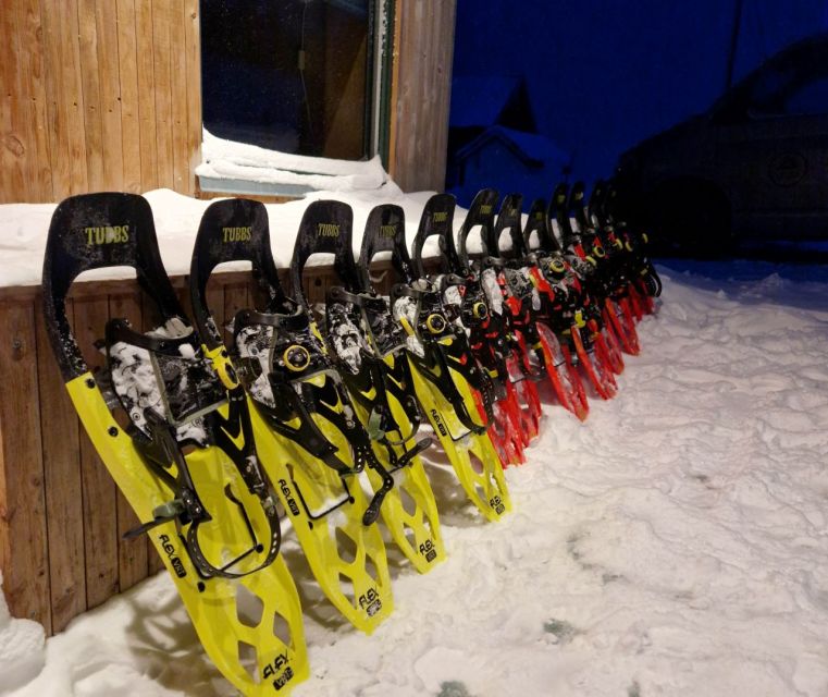 From Tromsø: Snowshoe Hike in the Arctic - Price and value: what $157 buys you in Tromsø time