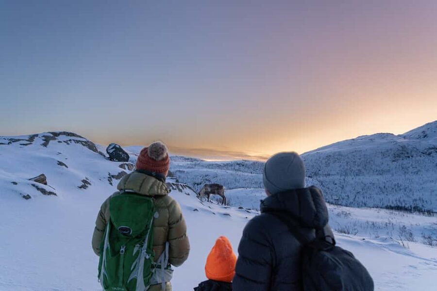 From Tromsø: Snowshoe Hike with Local Guides - Key highlights you will actually feel on the snow