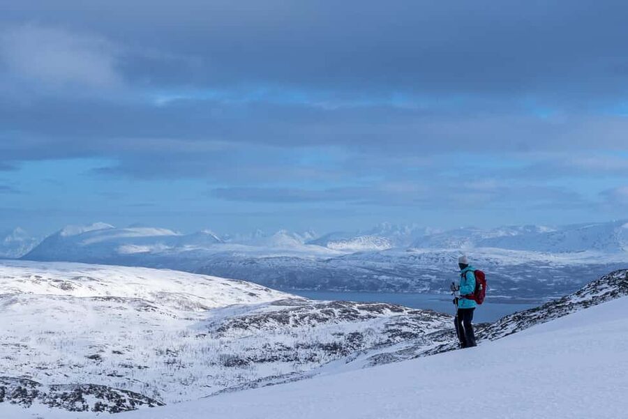 From Tromsø: Snowshoe Hike with Local Guides - The Arctic hike: views, silence, and wildlife you might spot