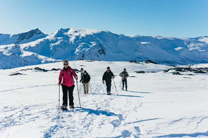 From Tromsø: Snowshoeing Hike with Picnic Lunch and Photos - Meeting at Scandic Ishavshotel, Then Straight to Kvaløya