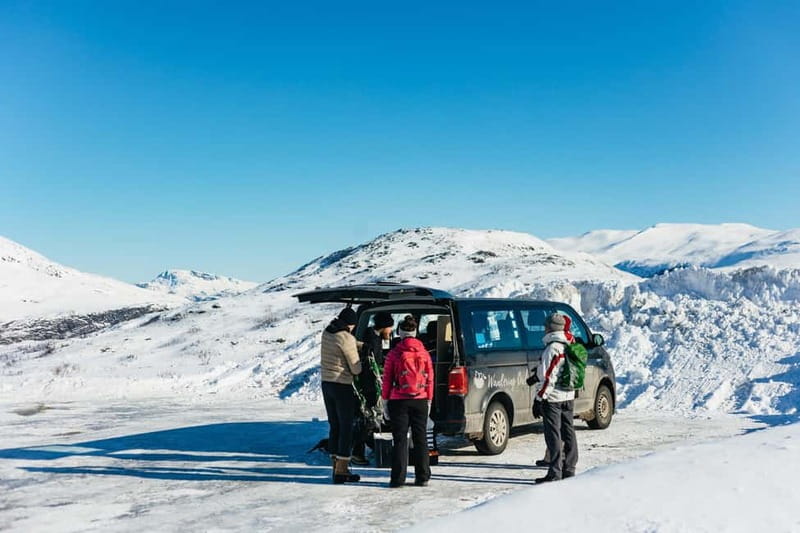 From Tromsø: Snowshoeing Hike with Picnic Lunch and Photos - Fjord and Mountain Views, Plus the Fun Factor on the Way Down
