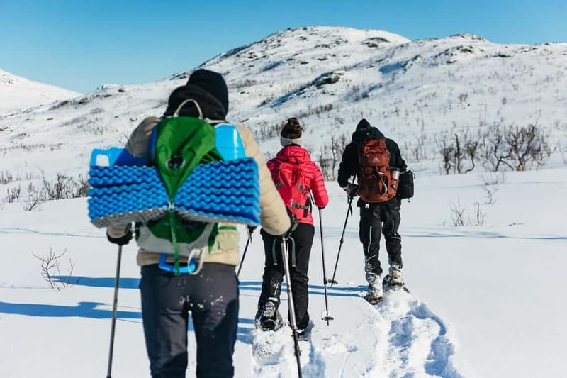 From Tromsø: Snowshoeing Hike with Picnic Lunch and Photos - Wildlife Spotting Without the Safari Hype
