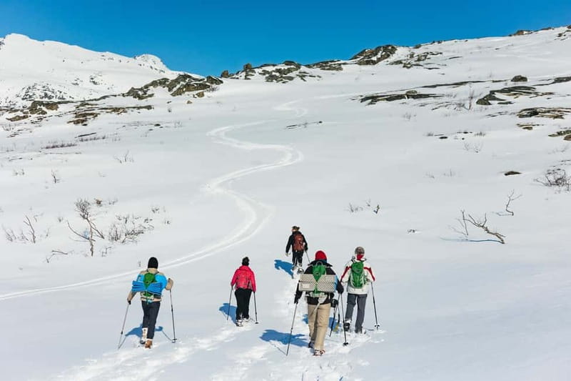 From Tromsø: Snowshoeing Hike with Picnic Lunch and Photos - The Picnic Lunch Stop: Sandwiches, Biscuits, and Hot Drinks at the Top