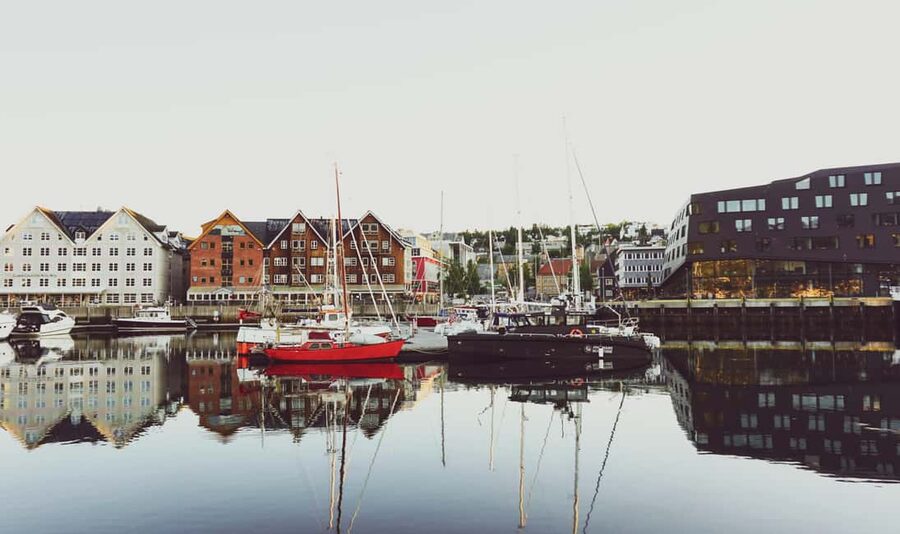 From Tromsø: Tromsø Highlights & History Tour With E-Bike - The Arctic-Alpine Botanic Garden: your 15-minute reset