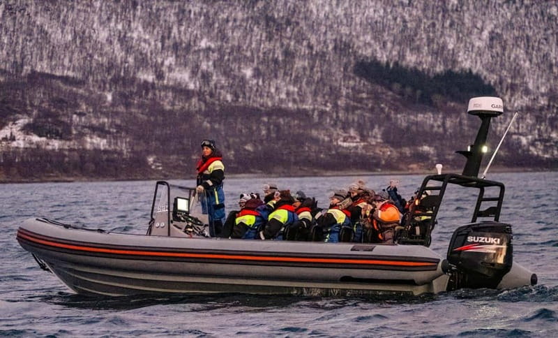 From Tromso: Whale Watching in Magic Skjervoy - Price and value: what $356 really buys you