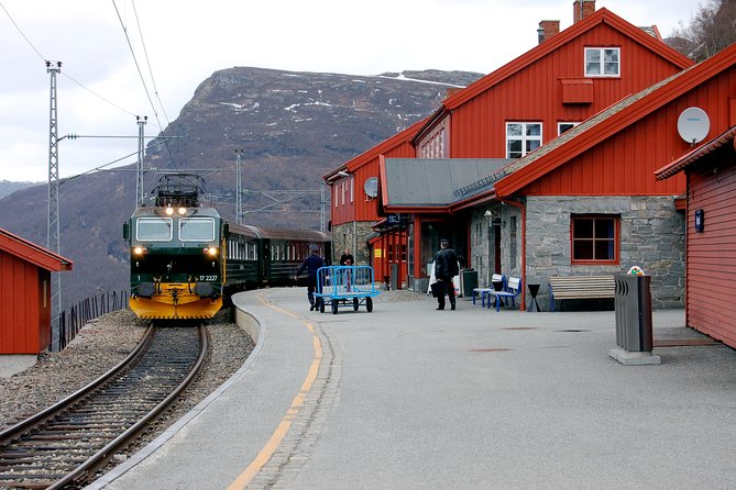 Full Day Guided Roundtrip From Bergen To Sognefjord With Flam Railway - Price and what you actually get for nearly $970