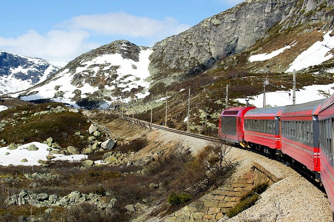 Full Day Guided Roundtrip From Bergen To Sognefjord With Flam Railway - Flåm Railway and time in Flåm: your break before heading back