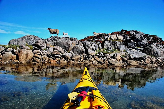 Full Day Kayak-Northern Explorer - Best booking strategy for popular Lofoten days