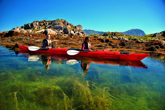 Full Day Kayak-Northern Explorer - Should you book the Full Day Kayak-Northern Explorer?