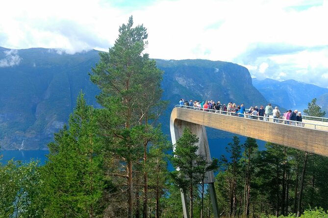 Full Day Private Tour to Flam with Pick Up - The 2-hour Nærøyfjord cruise: wine or coffee, big scenery time