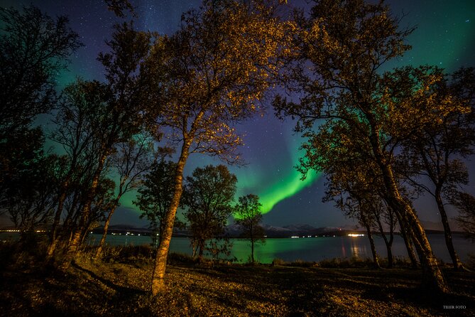 Full Night Magic of the Northern Lights in Tromso - Why a Tromso mini-bus chase beats waiting in one spot