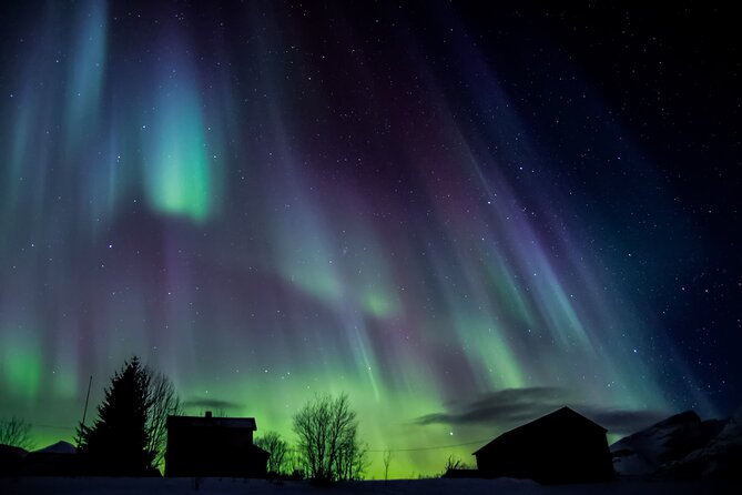 Full Night Magic of the Northern Lights in Tromso - Price and value: what $180.94 buys in Tromso