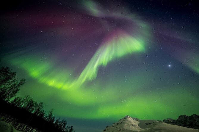 Full Night Magic of the Northern Lights in Tromso - What the guide talent looks like in real ratings