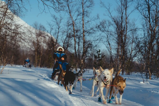 Fun & Easy Dog Sledding Adventure from Tromsø - Early Bird Tour - The actual ride: mountain views, cozy gear, and that Arctic buzz