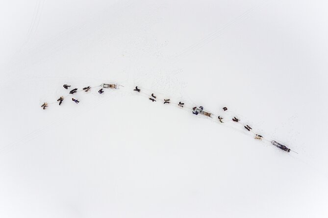 Fun & Easy Dog Sledding Adventure from Tromsø - Early Bird Tour - Timing, group size, and how to get the most out of your 4.5 hours