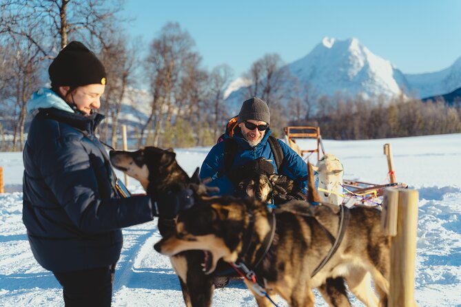 Fun & Easy Dog Sledding Adventure from Tromsø - Noon Tour - Price and value: what $289.03 buys you in Tromsø