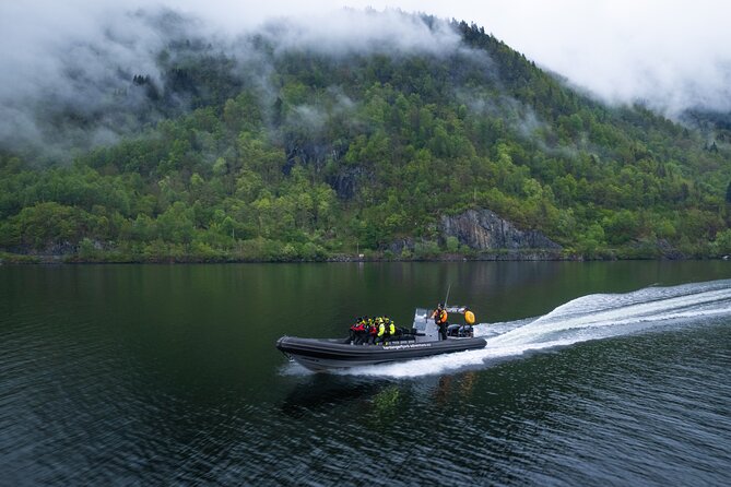 Fyksesund majestic RIB Adventure from Øystese - Price and value: what $95.93 buys you in Hardanger