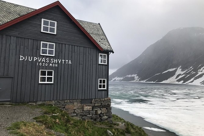 Geiranger Shore Excursion: Mt. Dalsnibba and Eagle Road - Price and value at $129.40 per person