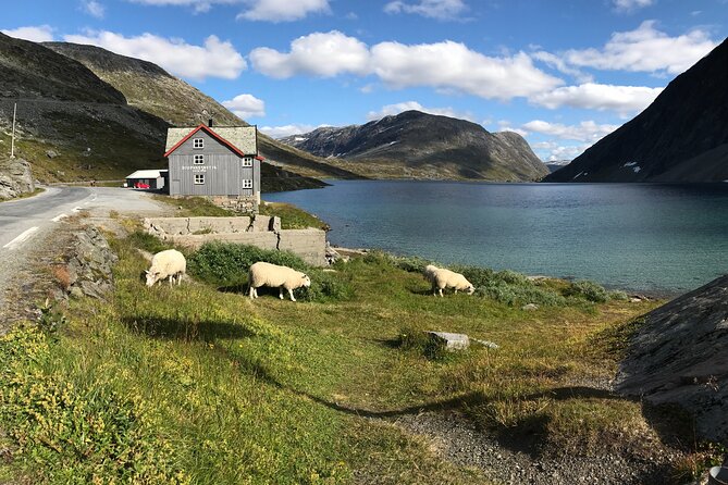 Geiranger: Sky to Fjord Downhill Biking Adventure - English-speaking staff and mobile ticket convenience