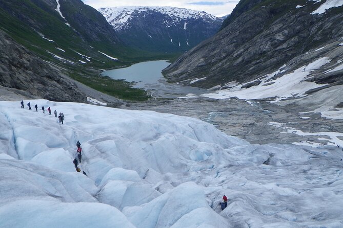 Glacier Hiking and Kayaking Tour on Nigardsbreen Glacier - Seasonality Matters: May/June vs July on Different Glaciers