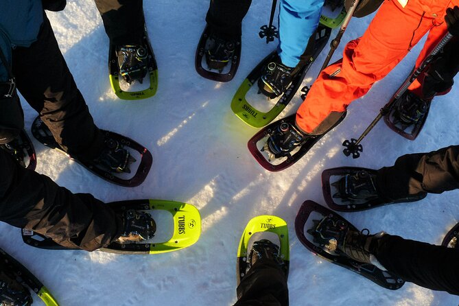 Guided easy snowshoeing with a visit to local café - Key Highlights to Know Before You Go