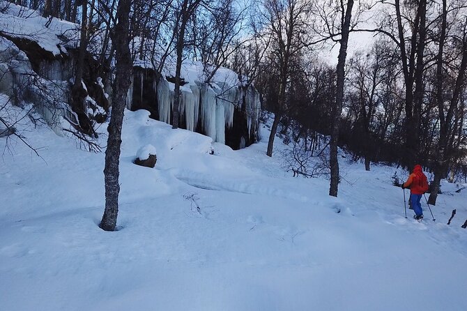 Guided easy snowshoeing with a visit to local café - Tromsø Outdoor AS, 9:00 Start, and How the Day Runs