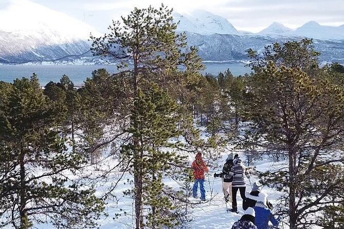 Guided easy snowshoeing with a visit to local café - The Timing Angle, Darkness, and Getting Your Head in the Right Place