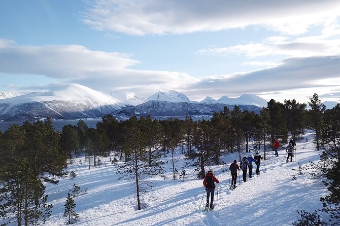 Guided easy snowshoeing with a visit to local café - My Booking Checklist Before You Show Up