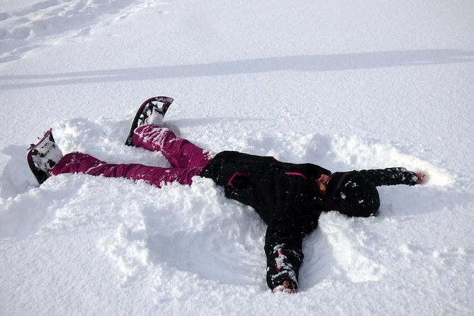 Guided easy snowshoeing with a visit to local café - Guided Easy Snowshoeing That Works for First-Timers