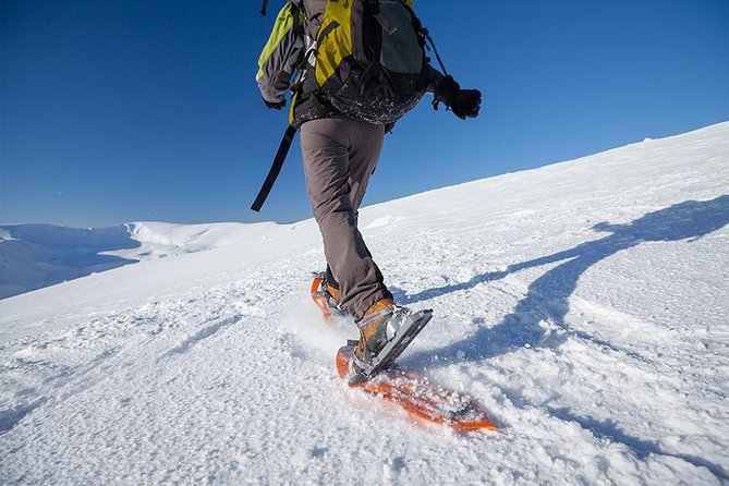 Guided Morning Snowshoe Hike with Huskies - Key things to know before you go