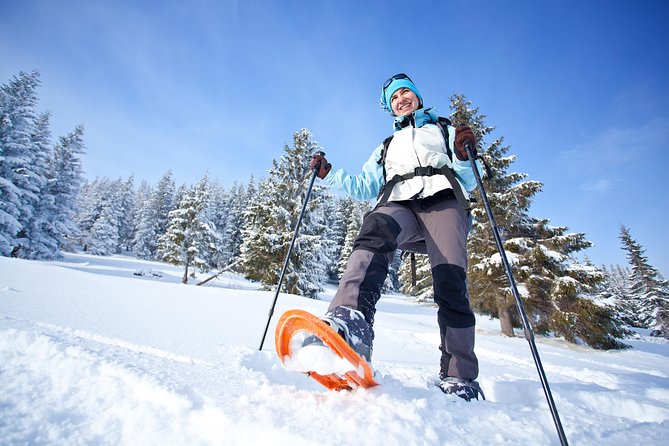 Guided Morning Snowshoe Hike with Huskies - Guides like Loti and Gina, and why small groups help