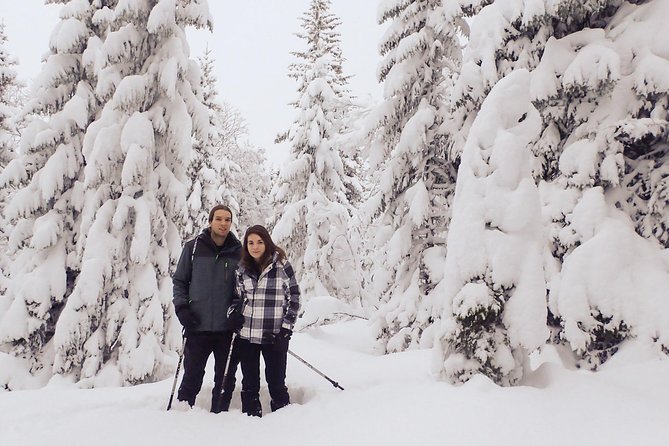 Guided Snowshoe Walk on Tromsoya Island in Tromso - Key Things I’d Plan Around on This Tromsøya Walk